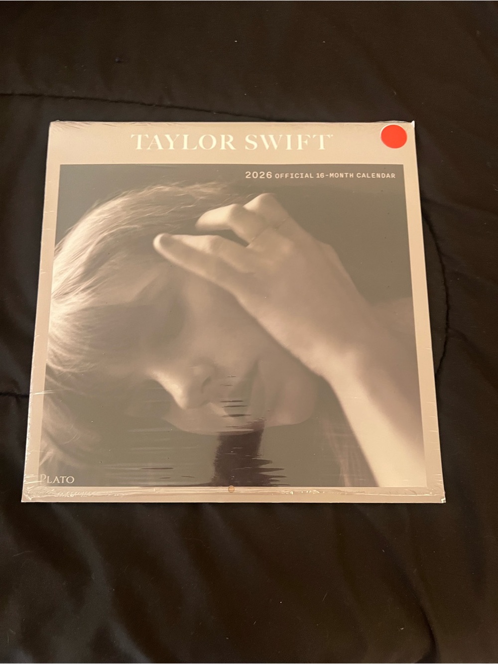 Taylor Swift 2026 Wall Calendar